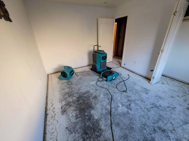 Best Professional water damage repair  in Salisbury, NC