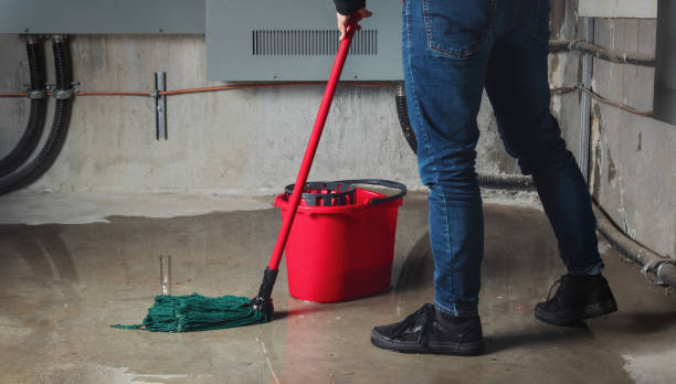 Best Water damage contractors near me  in Salisbury, NC