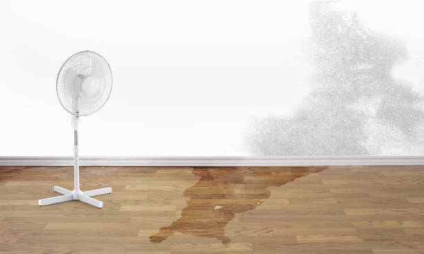 Best Water damage cleanup near me  in Salisbury, NC