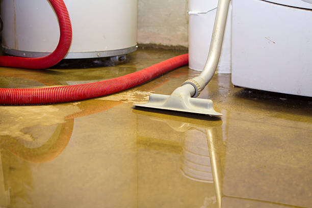 Best Ceiling water damage repair  in Salisbury, NC