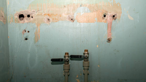 Best Professional water damage repair  in Salisbury, NC
